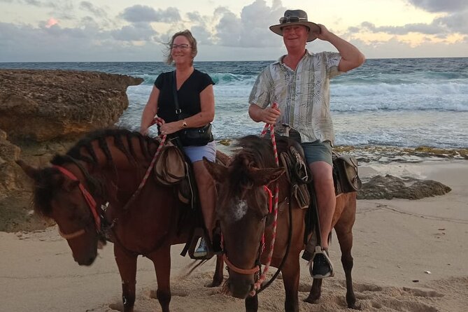 Shore Excursion Aruba’s Ecological and Beach Horseback Riding - Practical Details Before You Book