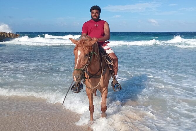 Shore Excursion Aruba’s Ecological and Beach Horseback Riding - Who Should Choose This Ride?