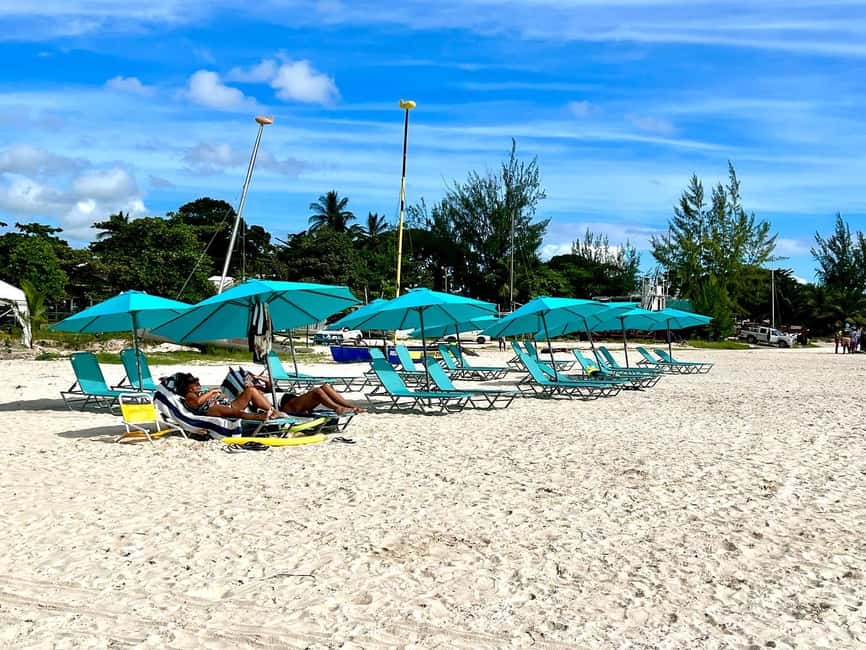 Shore Excursion Barbados Beach Day & Turtle Swim Experience - Key points at a glance
