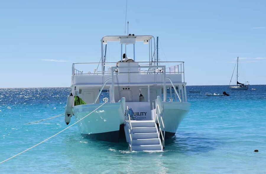 Shore Excursion Barbados Beach Day & Turtle Swim Experience - Four hours at Savvy on The Bay