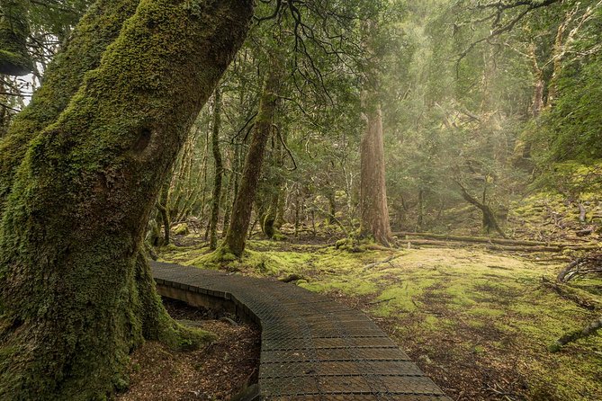 Shore Excursion - Cradle Mountain Shuttle Bus from Burnie - Guides make the difference on a short port call