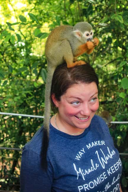 Shore Excursion Damajagua Waterfalls and Monkey Encounters - The 35 to 40 minute forest hike
