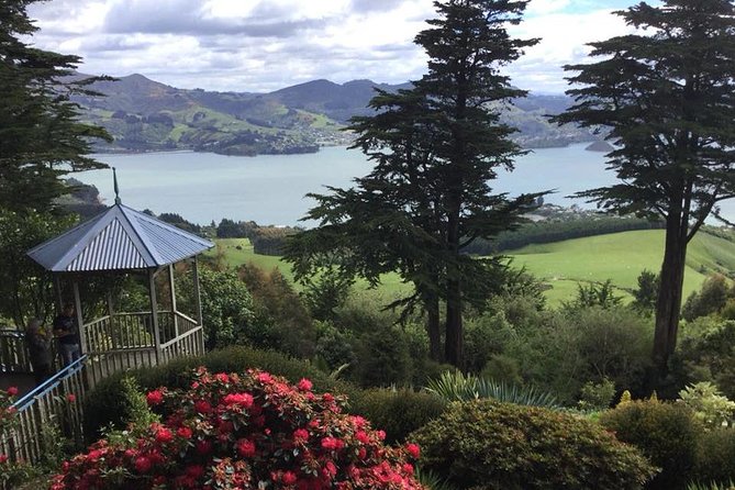 Shore Excursion: Dunedin City, Otago Peninsula, Castle Gardens & Olveston Tour - Why this tour works for a single day in Dunedin