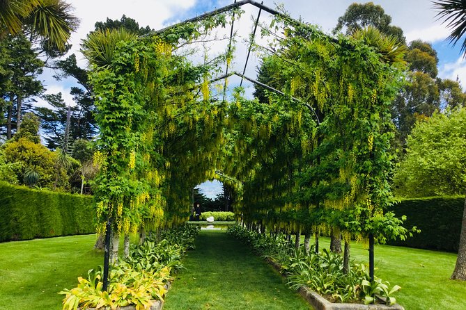 Shore Excursion: Dunedin City, Otago Peninsula, Castle Gardens & Olveston Tour - Guides, group size, and the feel of the day