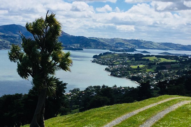 Shore Excursion: Dunedin City, Otago Peninsula, Castle Gardens & Olveston Tour - Baldwin Street and Signal Hill: quick orientation with a view