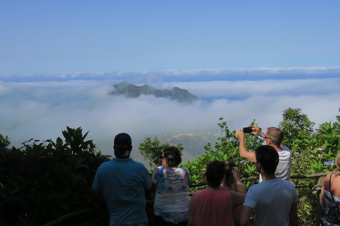 Shore Excursion - East Madeira Peaks & Santana - Ribeiro Frio shifts the day into forest country