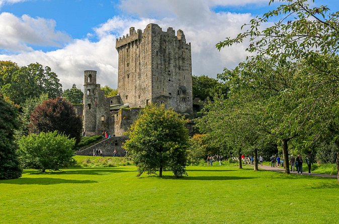 Shore Excursion from Cobh (Cork) to Blarney Castle and Kinsale - The guide and coach setup