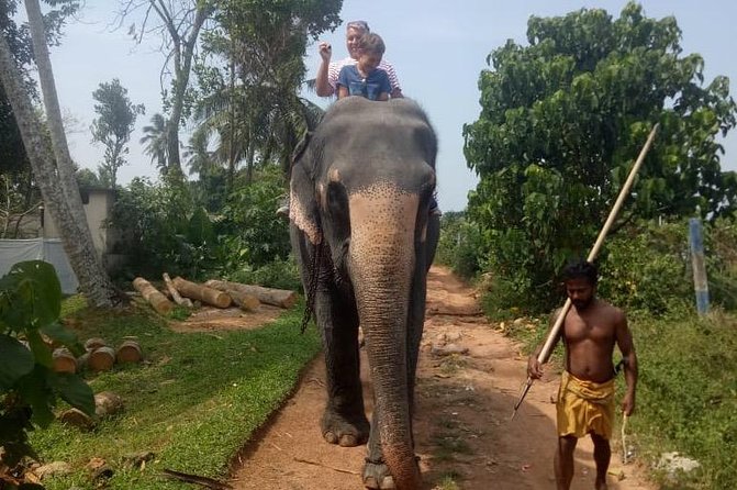 Shore Excursion From Colombo port to Ingiriya Tea Plantation & back for 2 People - Why the private format matters for a cruise stop