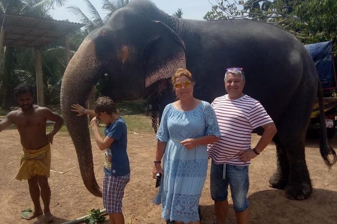 Shore Excursion From Colombo port to Ingiriya Tea Plantation & back for 2 People - What the $135.72 price really buys