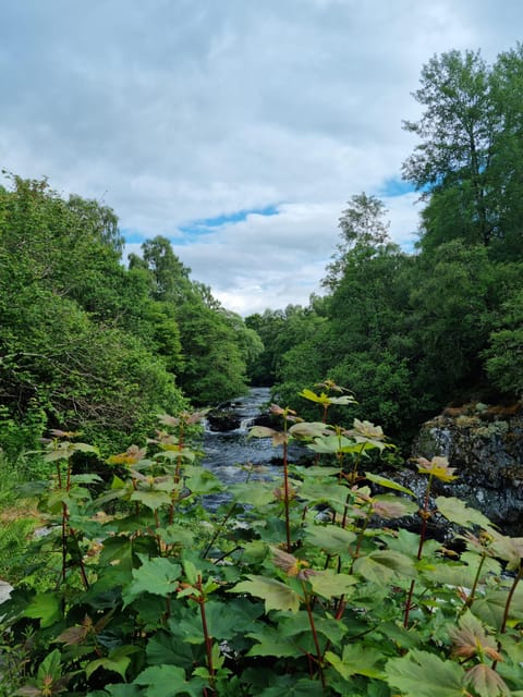 Shore excursion from Invergordon - Castles, Scenery & Whisky - How much value does $902 provide?
