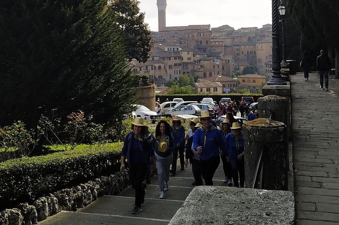 Shore excursion from Livorno to Siena and San Gimignano by private minivan - The minivan ride from Livorno to Tuscany