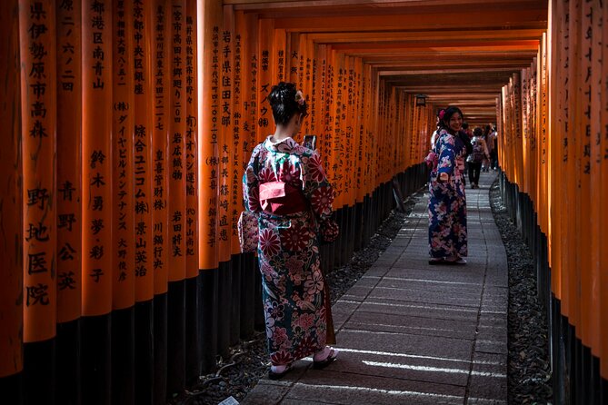 Shore excursion: Full Day Private Kyoto Tour From Osaka/Kobe Port - The vehicle, guide, and port return