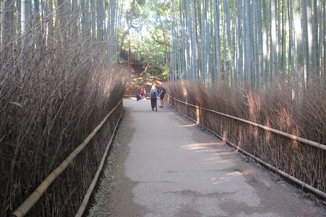 Shore excursion: Full Day Private Kyoto Tour From Osaka/Kobe Port - What the guides add to the day