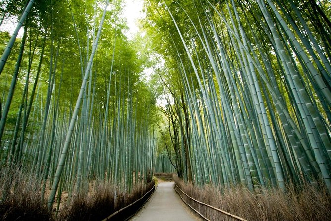 Shore excursion: Full Day Private Kyoto Tour From Osaka/Kobe Port - Arashiyama Bamboo Grove, your first major stop