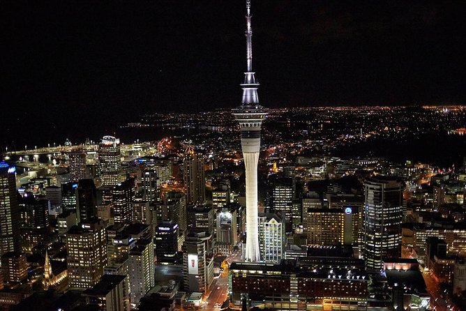 Shore Excursion: Half-Day Auckland Volcanoes Tour - One Tree Hill connects the scenery with national history