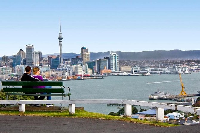 Shore Excursion: Half-Day Auckland Volcanoes Tour - What Mike adds to the experience