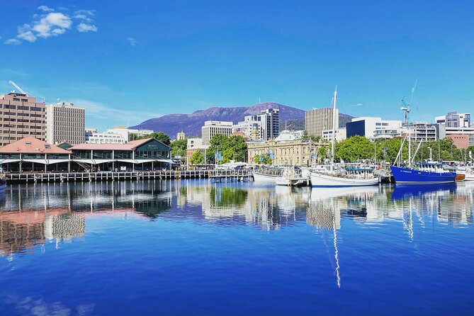 Shore Excursion: Hobart Highlights Day Tour - A short stop at Wicked Cheese
