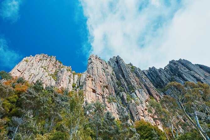 Shore Excursion: Hobart Wanderer - A full day that covers Tasmania’s big themes