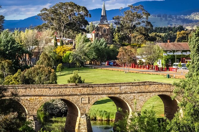 Shore Excursion: Hobart Wanderer - Mt. Wellington: cold air and broad views