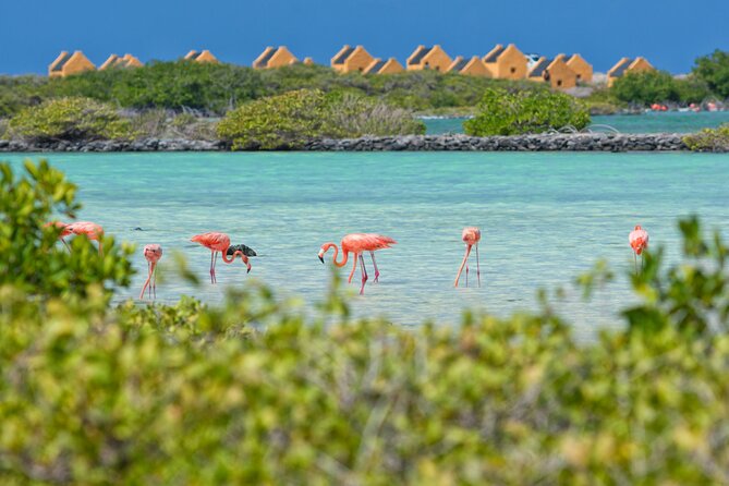 Shore Excursion Island Tour with Cultural Museum with beach drop off - Key points to know before booking