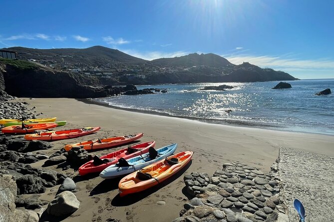 Shore Excursion: La Bufadora Blowhole, Kayak Adventure & Markets - Key points to know before you book