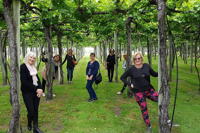Shore Excursion Marlborough Wine Region Tour from Picton - Lunch at a winery, with the bill on you