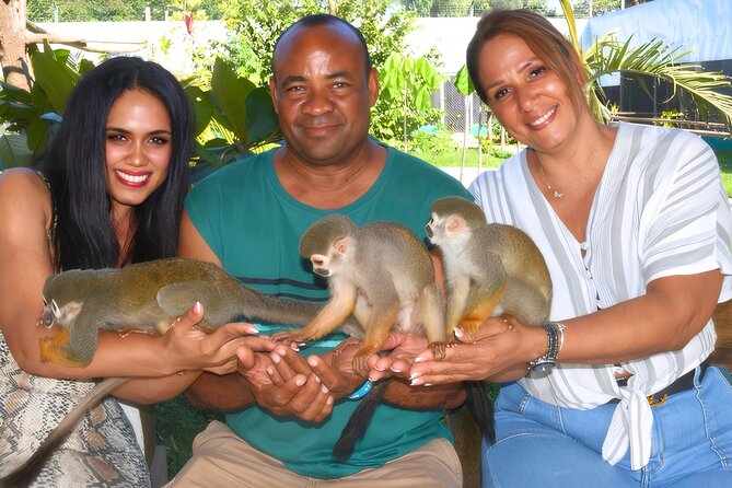 Shore Excursion Monkey Encounter and Puerto Plata City Tour - Key things to know before you book