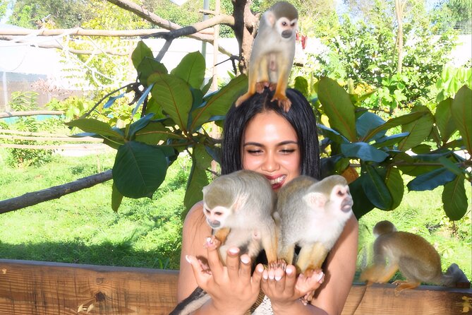 Shore Excursion Monkey Encounter and Puerto Plata City Tour - A fast introduction to Puerto Plata