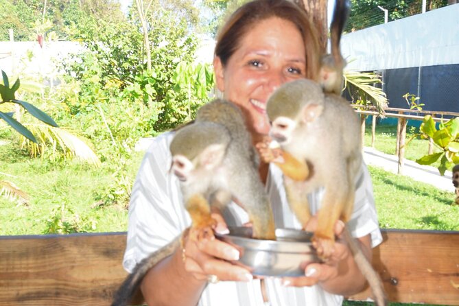 Shore Excursion Monkey Encounter and Puerto Plata City Tour - Atlantic views along the Malecón
