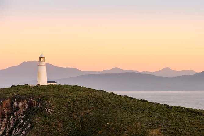 Shore Excursion: Nipaluna (Hobart) Highlights - Who gets the best value from this tour?