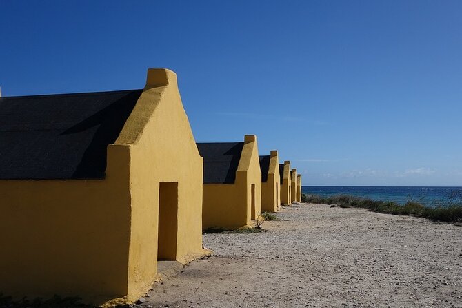 Shore Excursion: North and South Sides of Bonaire - Cadushy Distillery or Museo Chich’i Tan