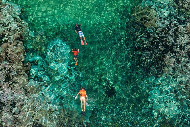Shore Excursion Premium Family Snorkeling Experience - What Playa La Entrega offers in shallow water