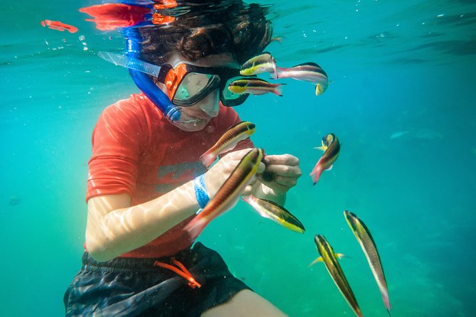Shore Excursion Premium Family Snorkeling Experience - What a cruise passenger should plan around