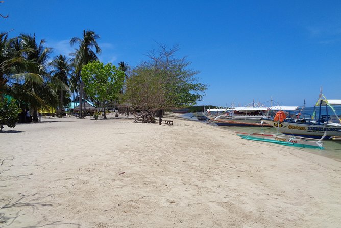Shore excursion: Puerto Princesa Island Hopping Tour - Lu-Li Island: two hours for swimming and photos