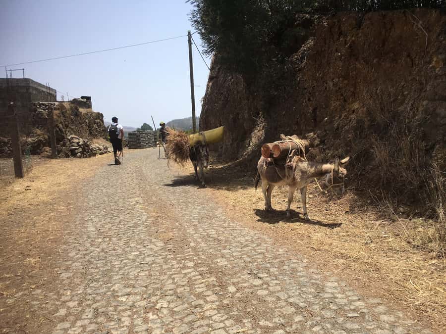 Shore Excursion, Santo Antão, Full Day, Highlights by car - Cova de Paúl and its farming crater