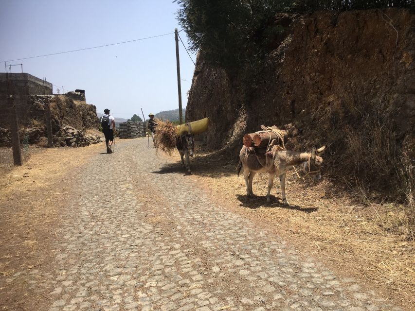 Shore Excursion, Santo Antão, Full Day, Highlights by car - Povação and the town lunch stop