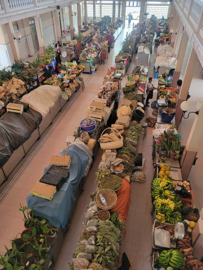 Shore Excursion: São Vicente, Full Day, 6h - Mindelo’s streets, cultural center, and markets