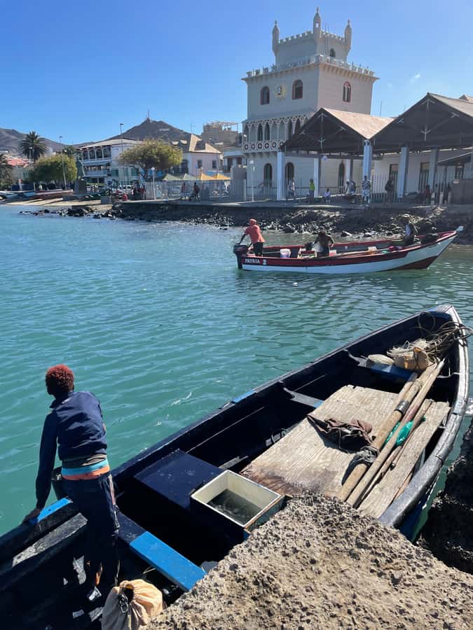 Shore Excursion: São Vicente, Full Day, 6h - Baia das Gatas and the chance to swim