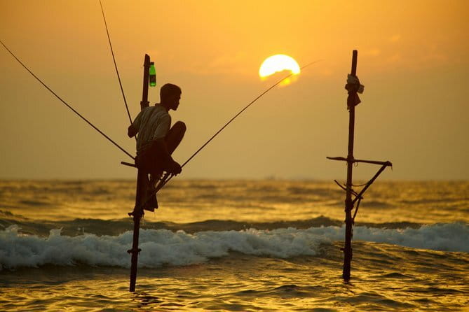 Shore Excursion to Colombo City Tour & Kelaniya Temple for 2 People - What the four to five hours will feel like