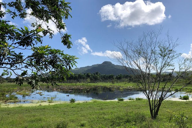 Shore Excursion: V.I.P. DayPass: ATV, Zip Lines, Horseback Riding & Lunch - A Dominican lunch that earns its place