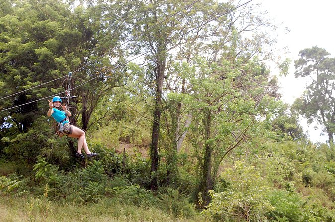 Shore Excursion: Zip Line Adventure - Fresh fruit and farm life between rides