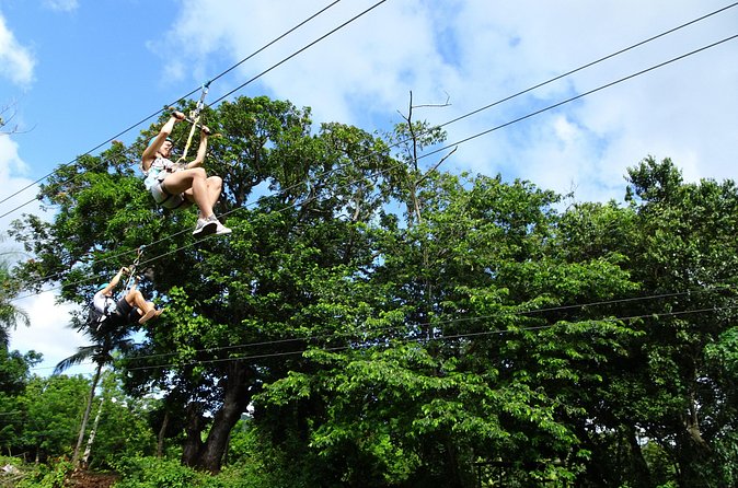 Shore Excursion: Zip Line Adventure - How much value do you get for $74.99?
