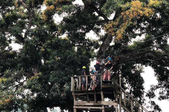 Shore Excursion: Zip Line Adventure - The guides make a big difference