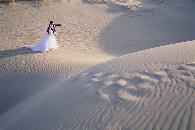 Shore Excursions of Dubai City Tour followed by Desert Safari - Sunset dune bashing in an air-conditioned 4x4