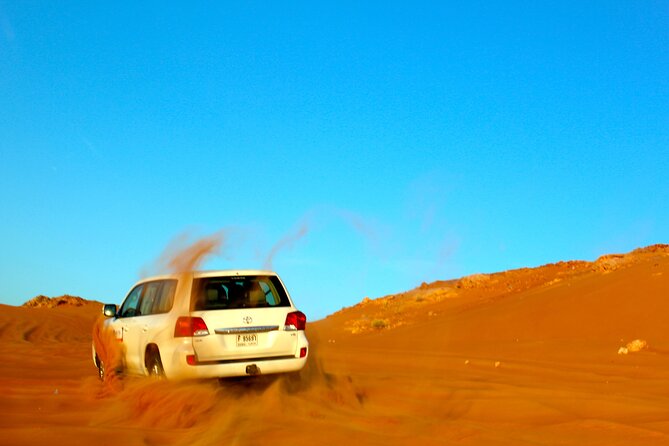 Shore Excursions of Dubai City Tour followed by Desert Safari - How the guides affect the experience