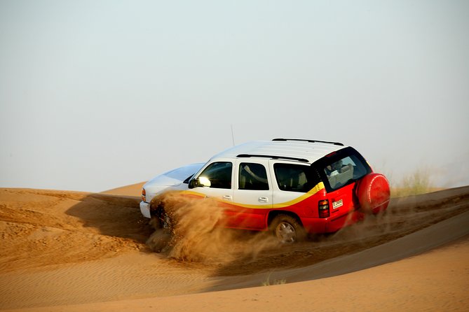 Shore Excursions of Dubai City Tour followed by Desert Safari - Who should book this Dubai shore excursion