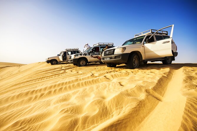 Shore Excursions of Dubai City Tour followed by Desert Safari - Should you book it?