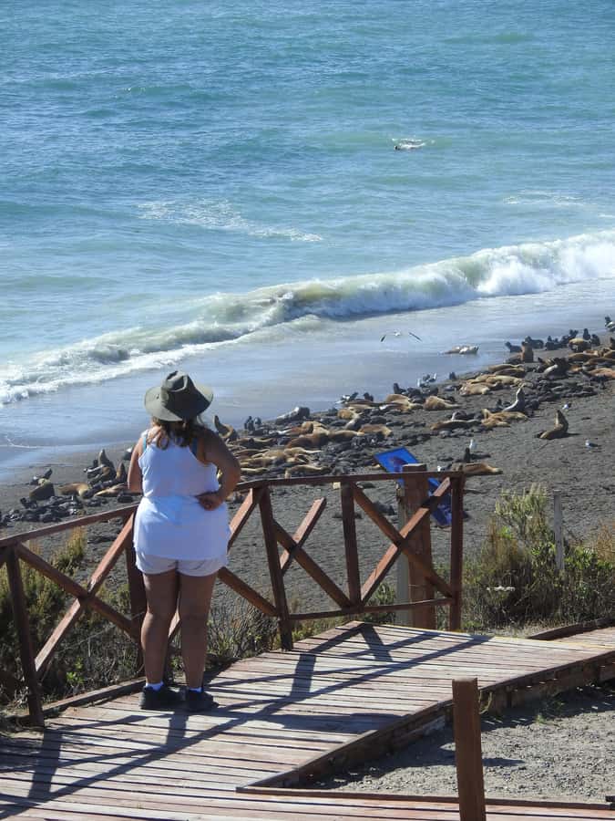 Shore Tours Peninsula Valdes Puerto Madryn Cruise Passengers - Why Peninsula Valdés Is Worth a Cruise-Port Day