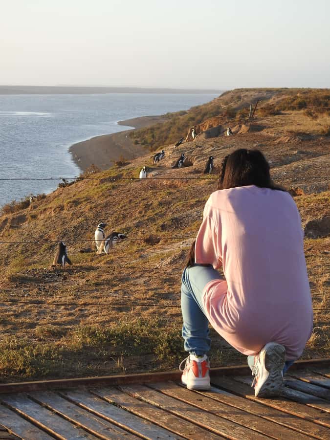 Shore Tours Peninsula Valdes Puerto Madryn Cruise Passengers - The Guide Makes the Long Drives Better