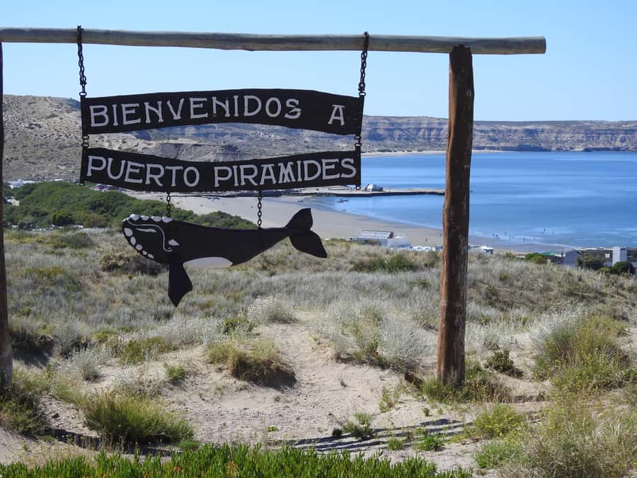 Shore Tours Peninsula Valdes Puerto Madryn Cruise Passengers - The First Hour: El Desempeño and the Open Steppe
